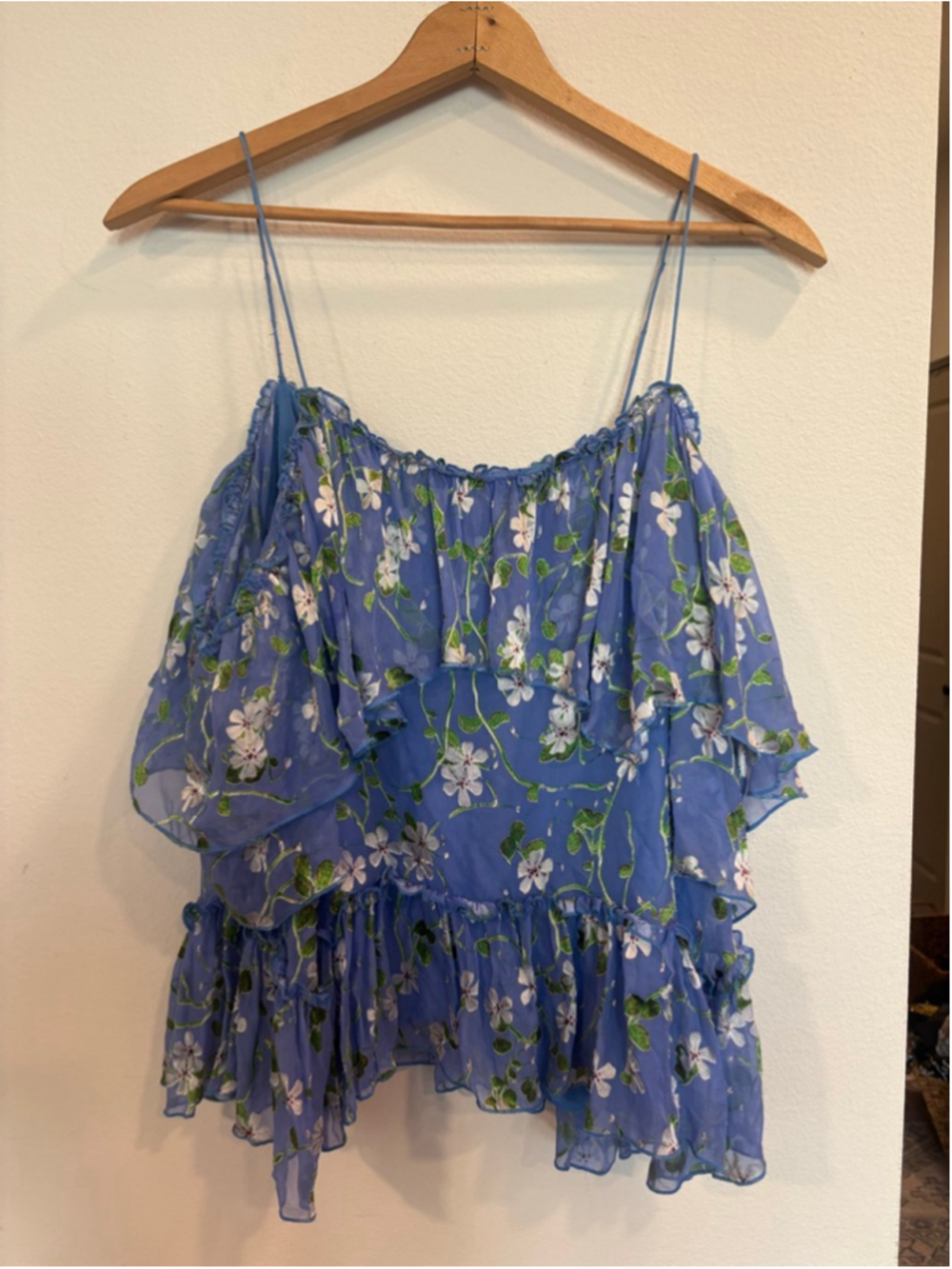 Alice + Olivia Blue Floral Embroidered Boho Ruffle Top Cottagecore Medium
